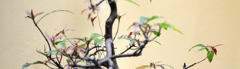 Sparta Public Library